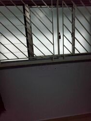 ficus-vale photo thumbnail #9